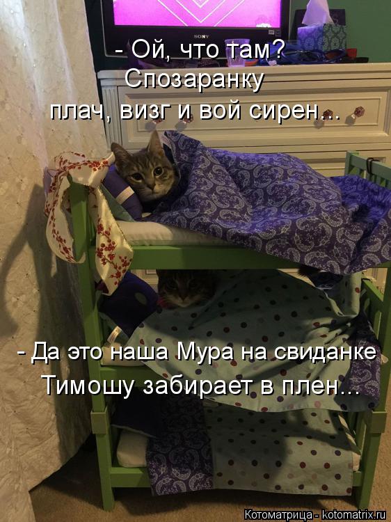 - Ой, что там? Спозаранку плач, визг и вой сирен... - Да это наша Мура на свиданке Тимошу забирает в ... Котоматрица: - Ой, что там? Спозаранку плач, визг и вой сирен... - Да это наша Мура на свиданке Тимошу забирает в плен...