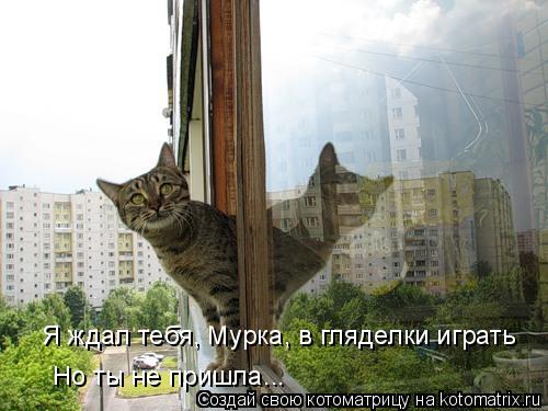 Я ждал тебя, Мурка, в гляделки играть Но ты не пришла...... Котоматрица: Я ждал тебя, Мурка, в гляделки играть Но ты не пришла...