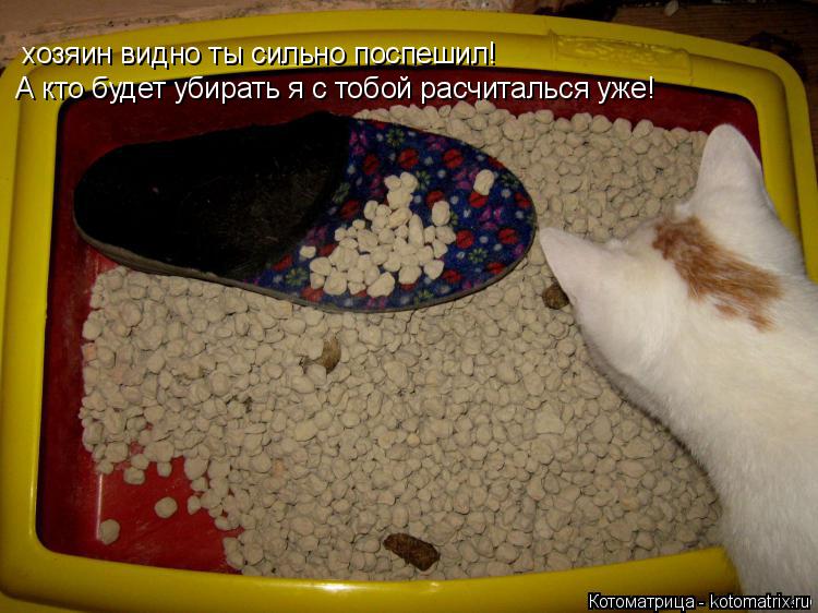 хозяин видно ты сильно поспешил! А кто будет убирать я с тобой расчиталься уже!... Котоматрица: хозяин видно ты сильно поспешил! А кто будет убирать я с тобой расчиталься уже!