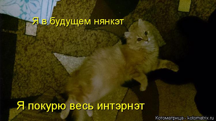 Я в будущем нянкэт Я покурю весь интэрнэт... Котоматрица: Я в будущем нянкэт Я покурю весь интэрнэт