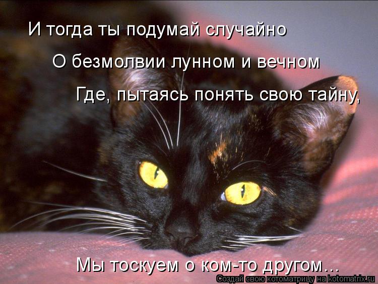 И тогда ты подумай случайно О безмолвии лунном и вечном Где, пытаясь понять свою тайну, Мы тоскуем о ... Котоматрица: И тогда ты подумай случайно О безмолвии лунном и вечном Где, пытаясь понять свою тайну, Мы тоскуем о ком-то другом…
