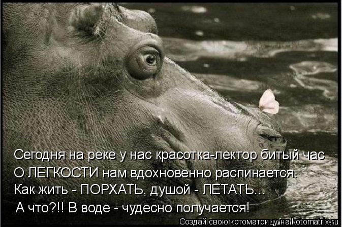 Сегодня на реке у нас красотка-лектор битый час О ЛЕГКОСТИ нам вдохновенно распинается. Как жить - ПО... Котоматрица: Сегодня на реке у нас красотка-лектор битый час О ЛЕГКОСТИ нам вдохновенно распинается. Как жить - ПОРХАТЬ, душой - ЛЕТАТЬ… А что?!! В воде - чу