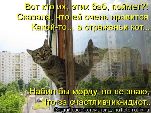 Вот кто их, этих баб, поймет?! Сказала, что ей очень нравится Какой-то... в отраженьи кот... Что за с... Котоматрица: Вот кто их, этих баб, поймет?! Сказала, что ей очень нравится Какой-то... в отраженьи кот... Что за счастливчик-идиот... Набил бы морду, но не знаю,