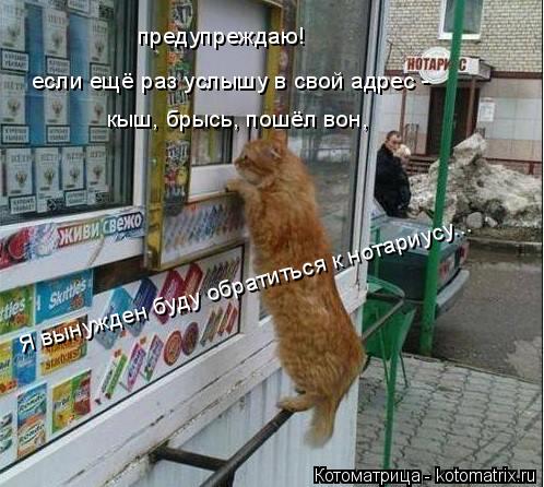 предупреждаю! если ещё раз услышу в свой адрес - кыш, брысь, пошёл вон, Я вынужден буду обратиться к ... Котоматрица: предупреждаю! если ещё раз услышу в свой адрес - кыш, брысь, пошёл вон, Я вынужден буду обратиться к нотариусу...