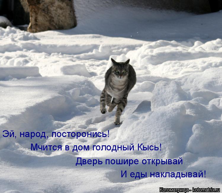 Эй, народ, посторонись! Мчится в дом голодный Кысь! Дверь пошире открывай И еды накладывай!... Котоматрица: Эй, народ, посторонись! Мчится в дом голодный Кысь! Дверь пошире открывай И еды накладывай!