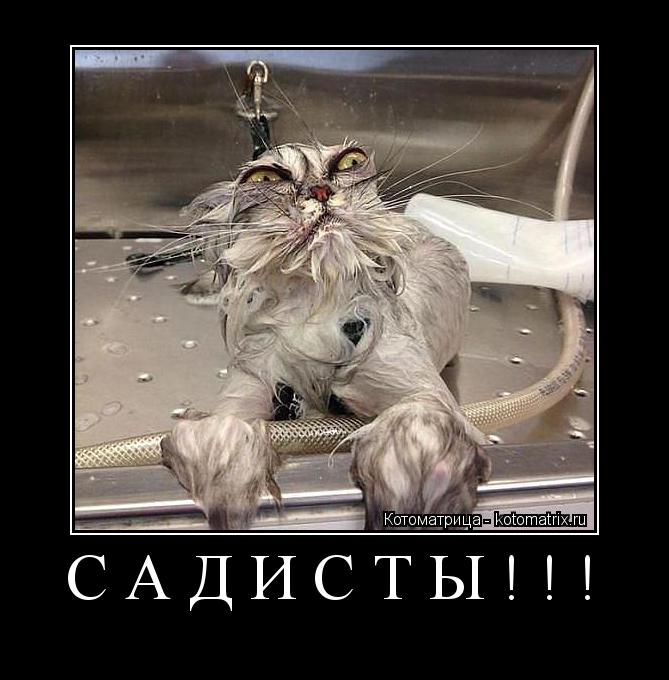 САДИСТЫ!!! ... Котоматрица: САДИСТЫ!!!