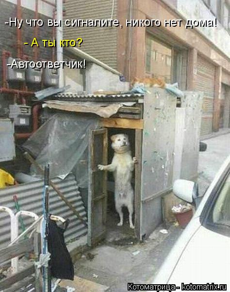 -Ну что вы сигналите, никого нет дома! - А ты кто? -Автоответчик!... Котоматрица: -Ну что вы сигналите, никого нет дома! - А ты кто? -Автоответчик!