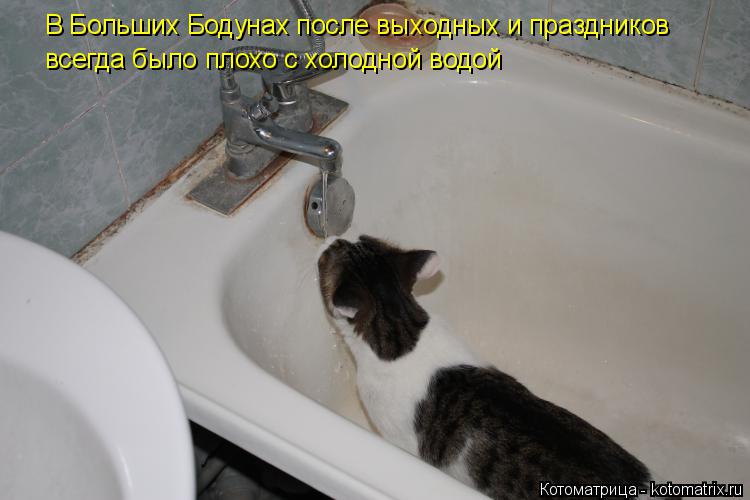 В Больших Бодунах после выходных и праздников всегда было плохо с холодной водой... Котоматрица: В Больших Бодунах после выходных и праздников всегда было плохо с холодной водой