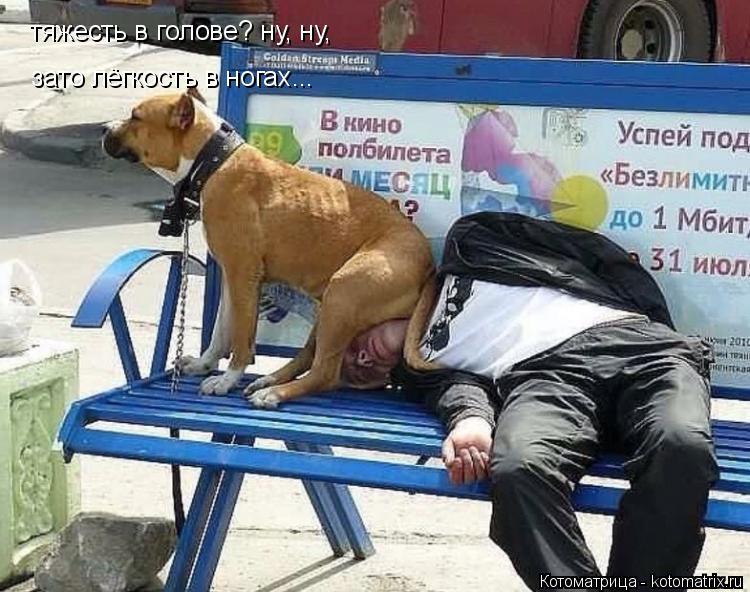 тяжесть в голове? ну, ну, зато лёгкость в ногах...... Котоматрица: тяжесть в голове? ну, ну, зато лёгкость в ногах...