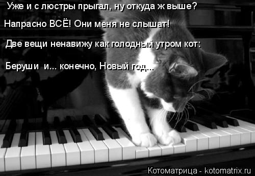 Уже и с люстры прыгал, ну откуда ж выше? Две вещи ненавижу как голодный утром кот: Напрасно ВСЁ! Они ... Котоматрица: Уже и с люстры прыгал, ну откуда ж выше? Две вещи ненавижу как голодный утром кот: Напрасно ВСЁ! Они меня не слышат! Беруши и... конечно, Новый