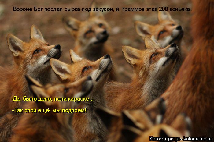 Вороне Бог послал сырка под закусон, и, граммов этак 200 коньяка. Вороне Бог послал сырка под закусон... Котоматрица: Вороне Бог послал сырка под закусон, и, граммов этак 200 коньяка. Вороне Бог послал сырка под закусон, и, граммов этак 200 коньяка. -Да, было дело,
