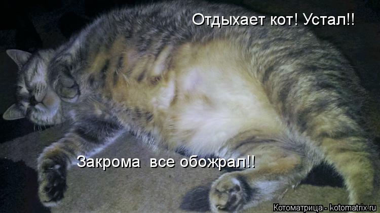 Отдыхает кот! Устал!! Закрома все обожрал!!... Котоматрица: Отдыхает кот! Устал!! Закрома все обожрал!!