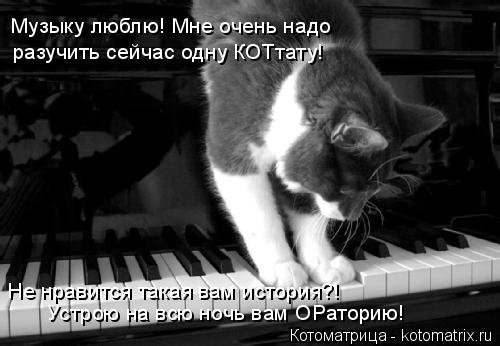 Музыку люблю! Мне очень надо разучить сейчас одну КОТтату! Не нравится такая вам история?! Устрою на ... Котоматрица: Музыку люблю! Мне очень надо разучить сейчас одну КОТтату! Не нравится такая вам история?! Устрою на всю ночь вам ОРаторию!