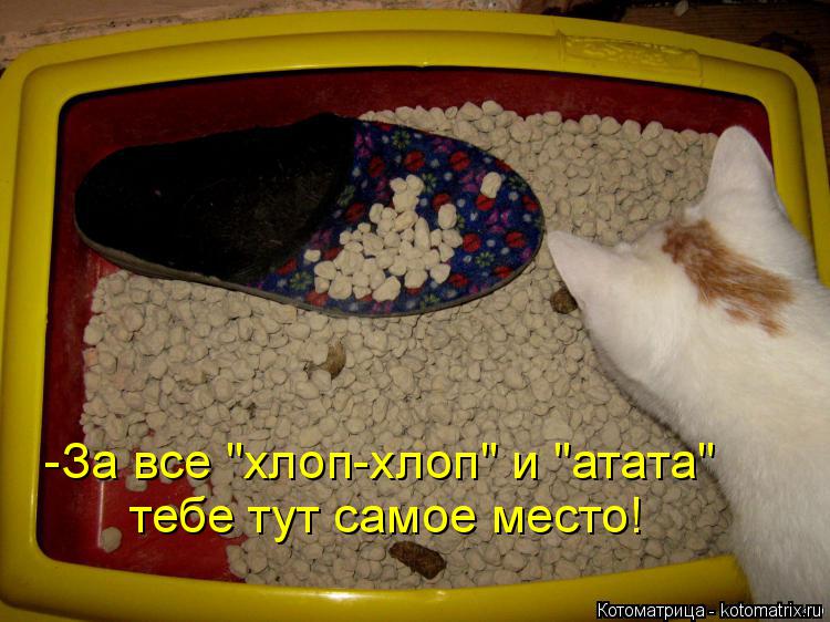 -За все "хлоп-хлоп" и "атата" тебе тут самое место!... Котоматрица: -За все "хлоп-хлоп" и "атата" тебе тут самое место!