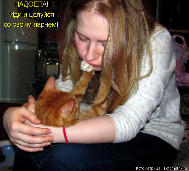 НАДОЕЛА! Иди и целуйся со своим парнем!... Котоматрица: НАДОЕЛА! Иди и целуйся со своим парнем!