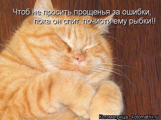 Чтоб не просить прощенья за ошибки, пока он спит, почисти ему рыбки!!... Котоматрица: Чтоб не просить прощенья за ошибки, пока он спит, почисти ему рыбки!!