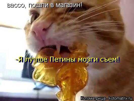 вассо, пошли в магазин! -Я лучше Петины мозги съем! -Я лучше Петины мозги съем!... Котоматрица: вассо, пошли в магазин! -Я лучше Петины мозги съем! -Я лучше Петины мозги съем!
