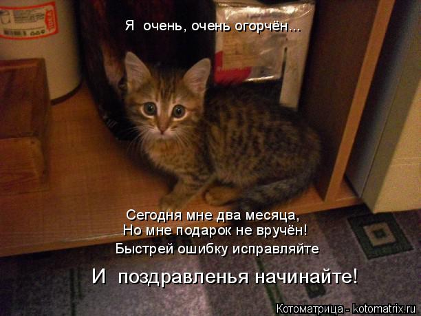 Я очень, очень огорчён... Сегодня мне два месяца, Но мне подарок не вручён! Быстрей ошибку исправ... Котоматрица: Я очень, очень огорчён... Сегодня мне два месяца, Но мне подарок не вручён! Быстрей ошибку исправляйте И поздравленья начинайте!