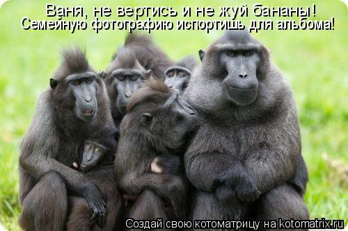 Семейную фотографию испортишь для альбома! Ваня, не вертись и не жуй бананы!... Котоматрица: Семейную фотографию испортишь для альбома! Ваня, не вертись и не жуй бананы!