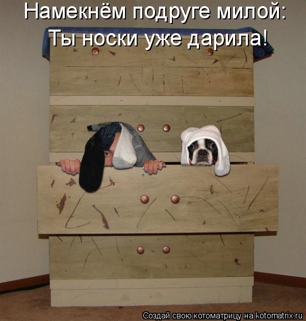 Намекнём подруге милой: Ты носки уже дарила!... Котоматрица: Намекнём подруге милой: Ты носки уже дарила!