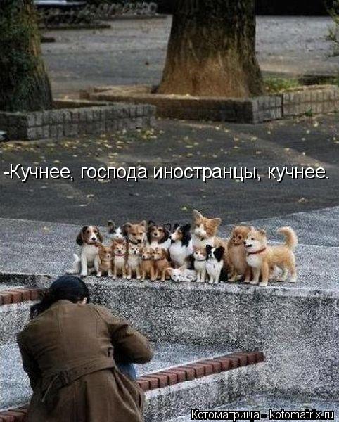 -Кучнее, господа иностранцы, кучнее.... Котоматрица: -Кучнее, господа иностранцы, кучнее.