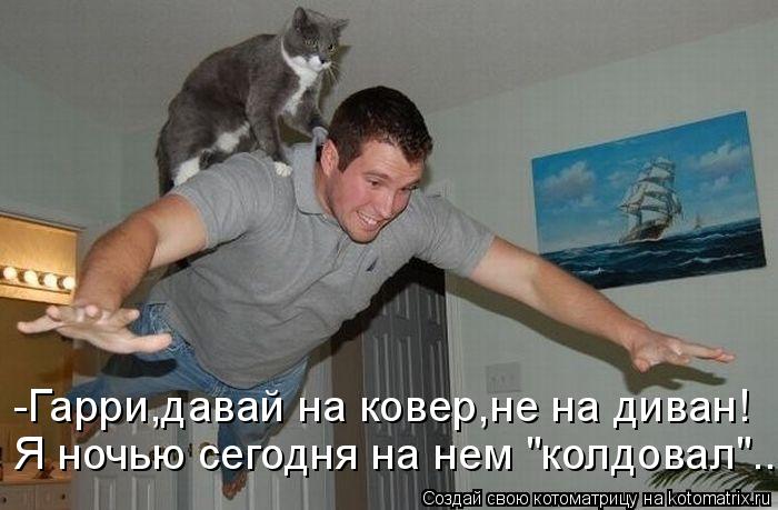 -Гарри,давай на ковер,не на диван! Я ночью сегодня на нем "колдовал"...... Котоматрица: -Гарри,давай на ковер,не на диван! Я ночью сегодня на нем "колдовал"...