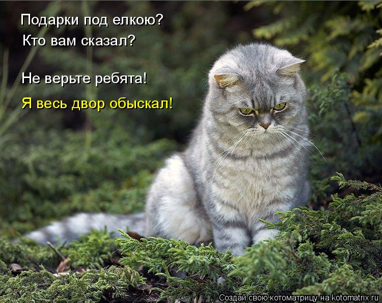 Подарки под елкою? Не верьте ребята! Кто вам сказал? Я весь двор обыскал!... Котоматрица: Подарки под елкою? Не верьте ребята! Кто вам сказал? Я весь двор обыскал!