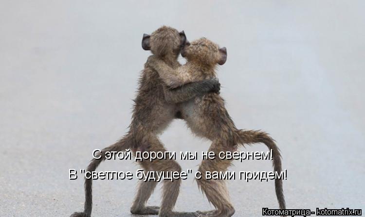 С этой дороги мы не свернем! В "светлое будущее" с вами придем!... Котоматрица: С этой дороги мы не свернем! В "светлое будущее" с вами придем!