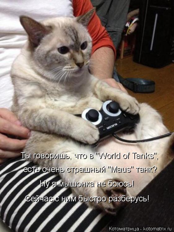 Ты говоришь, что в "World of Tanks", есть очень страшный "Maus" танк? Ну я мышонка не боюсь! Сейчас с... Котоматрица: Ты говоришь, что в "World of Tanks", есть очень страшный "Maus" танк? Ну я мышонка не боюсь! Сейчас с ним быстро разберусь!