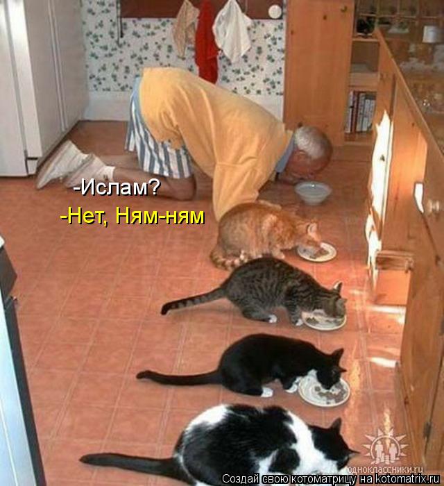 Котоматрица: -Ислам? -Нет, Ням-ням
