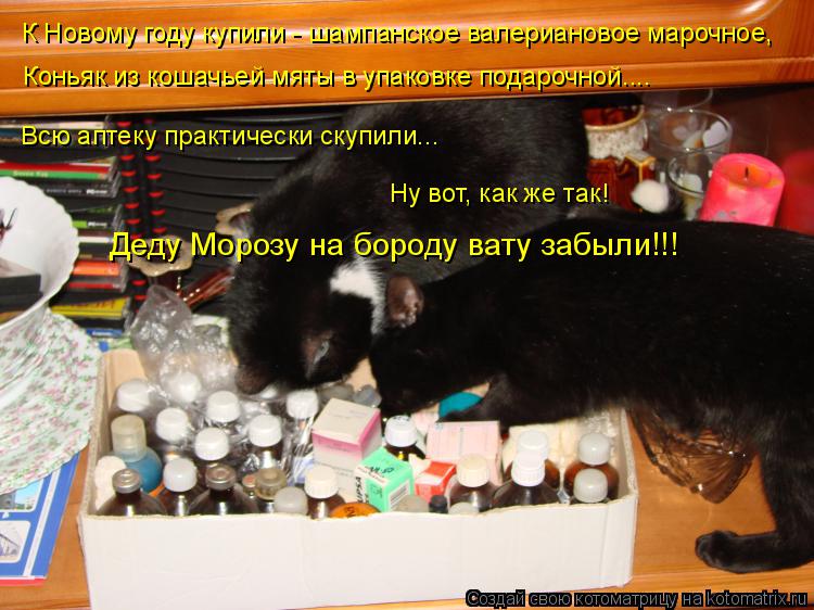 К Новому году купили - шампанское валериановое марочное, Коньяк из кошачьей мяты в упаковке подарочн... Котоматрица: К Новому году купили - шампанское валериановое марочное, Коньяк из кошачьей мяты в упаковке подарочной.... Всю аптеку практически скупили...