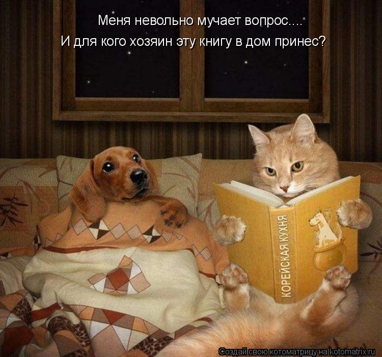 Меня невольно мучает вопрос.... И для кого хозяин эту книгу в дом принес?... Котоматрица: Меня невольно мучает вопрос.... И для кого хозяин эту книгу в дом принес?
