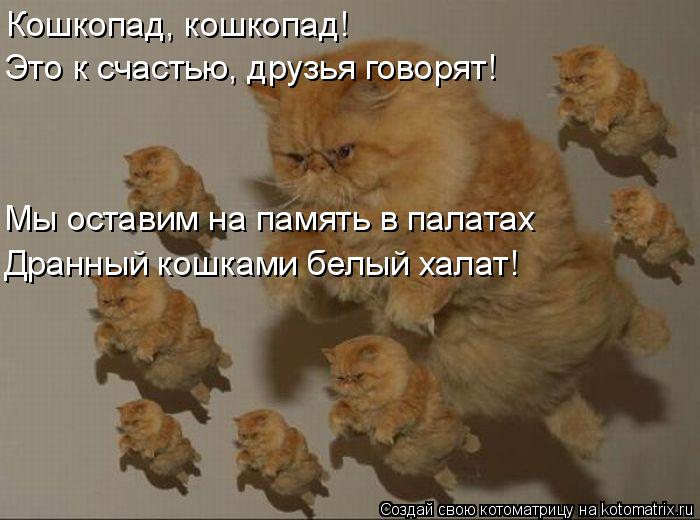 Кошкопад, кошкопад! Это к счастью, друзья говорят! Мы оставим на память в палатах Дранный кошками бел... Котоматрица: Кошкопад, кошкопад! Это к счастью, друзья говорят! Мы оставим на память в палатах Дранный кошками белый халат!