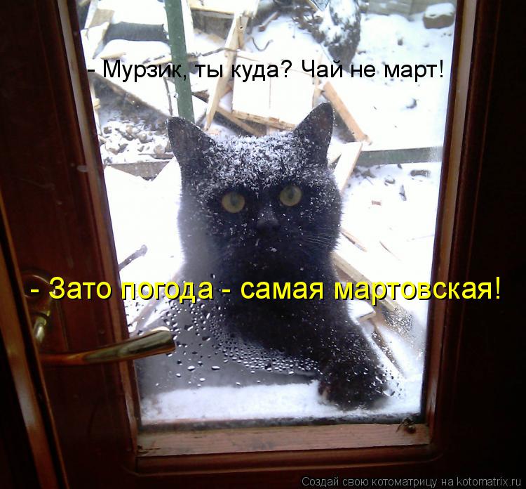 - Мурзик, ты куда? Чай не март! - Зато погода - самая мартовская!... Котоматрица: - Мурзик, ты куда? Чай не март! - Зато погода - самая мартовская!