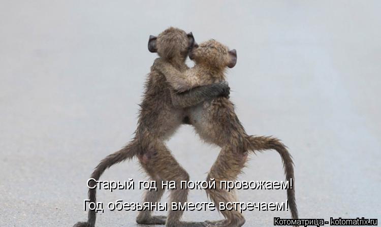 Старый год на покой провожаем! Год обезьяны вместе встречаем!... Котоматрица: Старый год на покой провожаем! Год обезьяны вместе встречаем!