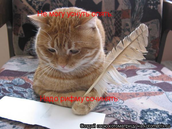 Не могу уснуть опять. Надо рифму сочинять.... Котоматрица: Не могу уснуть опять. Надо рифму сочинять.