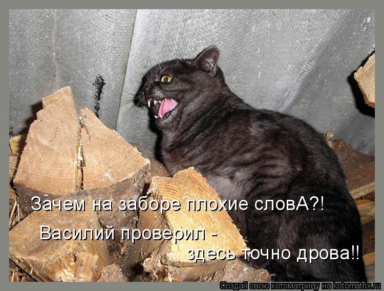 Зачем на заборе плохие словА?! Василий проверил - здесь точно дрова!!... Котоматрица: Зачем на заборе плохие словА?! Василий проверил - здесь точно дрова!!