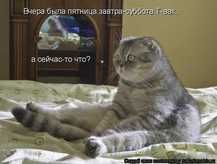 Котоматрица: Вчера была пятница,завтра-суббота.Т-аак.. а сейчас-то что?
