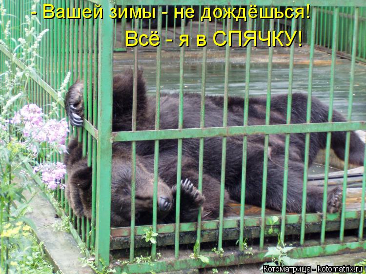 - Вашей зимы - не дождёшься! Всё - я в СПЯЧКУ!... Котоматрица: - Вашей зимы - не дождёшься! Всё - я в СПЯЧКУ!