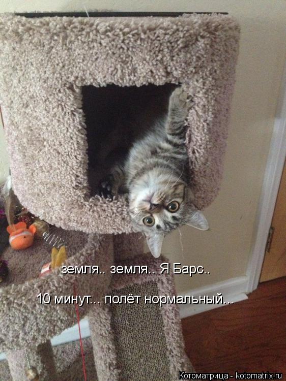 земля.. земля.. Я Барс.. 10 минут... полёт нормальный...... Котоматрица: земля.. земля.. Я Барс.. 10 минут... полёт нормальный...