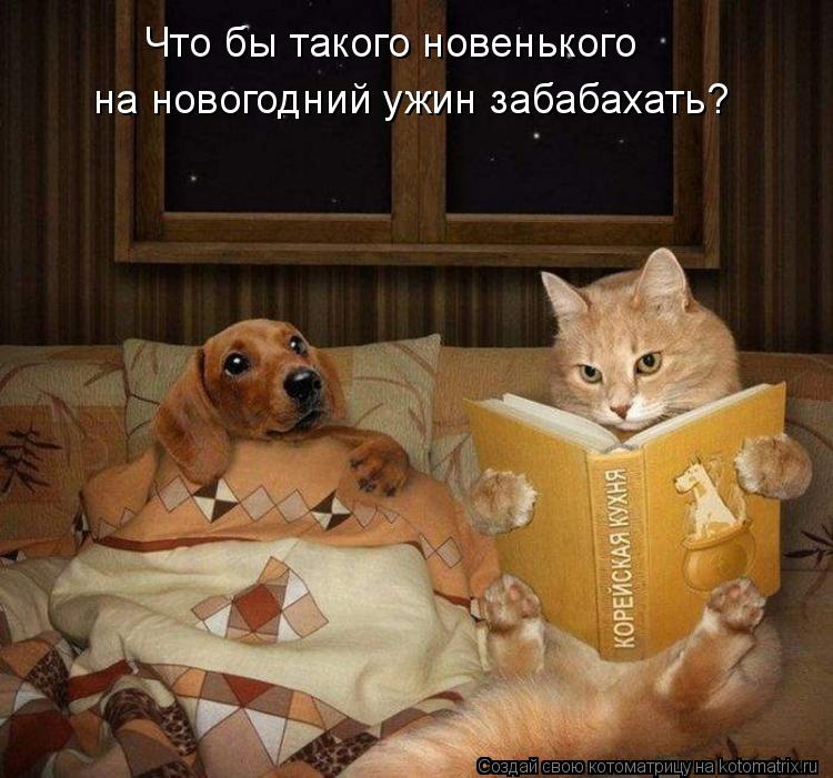 Что бы такого новенького на новогодний ужин забабахать?... Котоматрица: Что бы такого новенького на новогодний ужин забабахать?