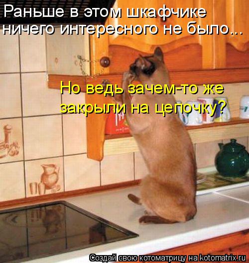 Котоматрица: Раньше в этом шкафчике  ничего интересного не было... Но ведь зачем-то же  закрыли на цепочку?