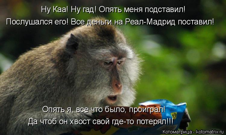 Ну Каа! Ну гад! Опять меня подставил! Послушался его! Все деньги на Реал-Мадрид поставил! Опять я, вс... Котоматрица: Ну Каа! Ну гад! Опять меня подставил! Послушался его! Все деньги на Реал-Мадрид поставил! Опять я, все что было, проиграл! Да чтоб он хвост свой