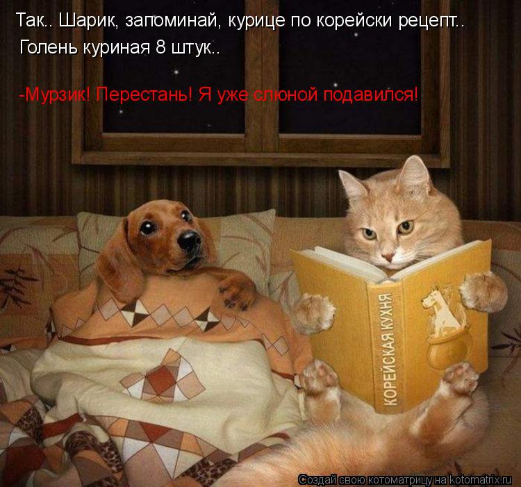 Так.. Шарик, запоминай, курице по корейски рецепт.. Голень куриная 8 штук.. -Мурзик! Перестань! Я уж... Котоматрица: Так.. Шарик, запоминай, курице по корейски рецепт.. Голень куриная 8 штук.. -Мурзик! Перестань! Я уже слюной подавился!