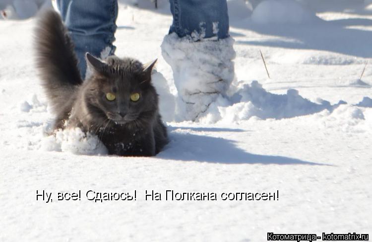 Ну, все! Сдаюсь! На Полкана согласен!... Котоматрица: Ну, все! Сдаюсь! На Полкана согласен!