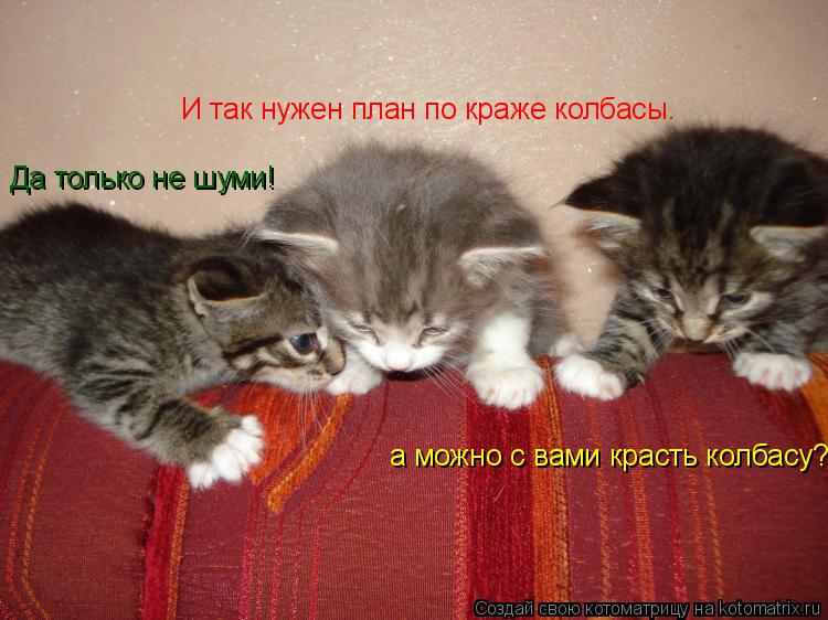 И так нужен план по краже колбасы. а можно с вами красть колбасу? Да только не шуми!... Котоматрица: И так нужен план по краже колбасы. а можно с вами красть колбасу? Да только не шуми!