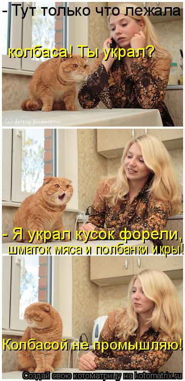 - Тут только что лежала колбаса! Ты украл? - Я украл кусок форели, шматок мяса и полбанки икры! Колб... Котоматрица: - Тут только что лежала колбаса! Ты украл? - Я украл кусок форели, шматок мяса и полбанки икры! Колбасой не промышляю!
