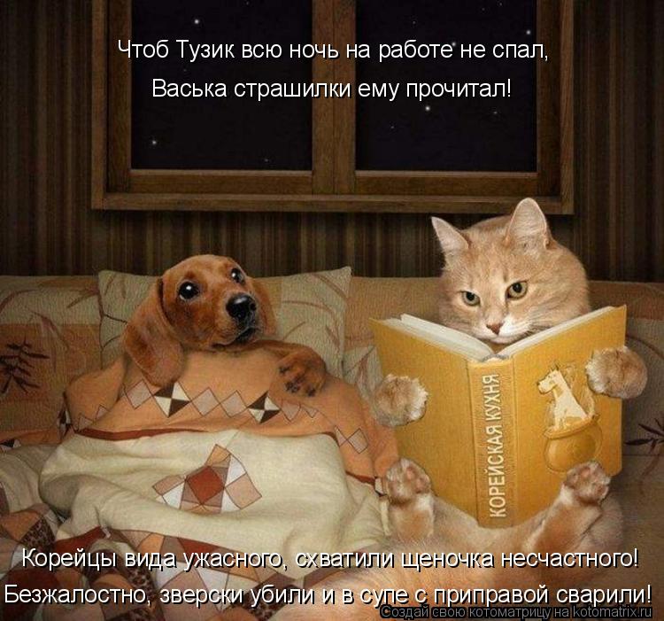 Корейцы вида ужасного, схватили щеночка несчастного! Чтоб Тузик всю ночь на работе не спал, Васька с... Котоматрица: Корейцы вида ужасного, схватили щеночка несчастного! Чтоб Тузик всю ночь на работе не спал, Васька страшилки ему прочитал! Безжалостно, зве