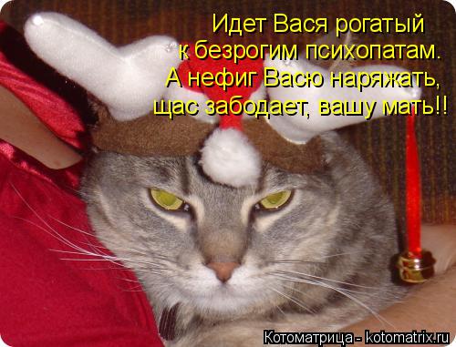 Идет Вася рогатый к безрогим психопатам. А нефиг Васю наряжать, щас забодает, вашу мать!!... Котоматрица: Идет Вася рогатый к безрогим психопатам. А нефиг Васю наряжать, щас забодает, вашу мать!!