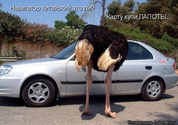 Котоматрица: Навигатор китайский что ли? Карту купи,ЛАПОТЬ!..